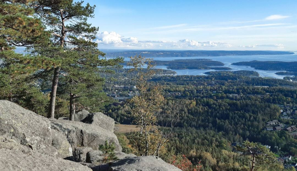 Utsikt over skog og fjord fra fjelltopp i Norge.